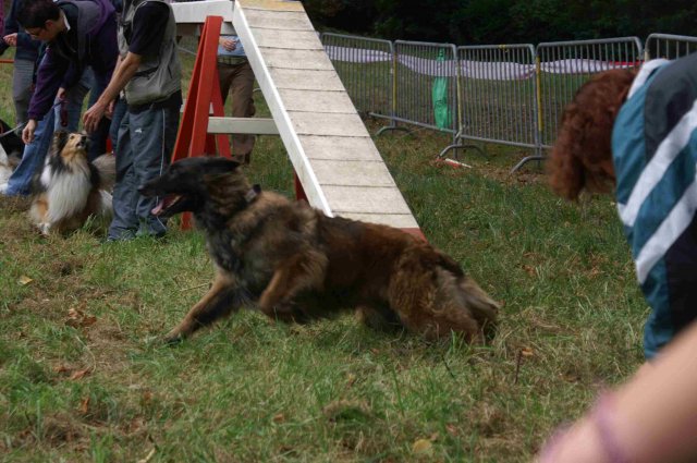 foire-haricots 2011-09-17et18